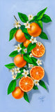 Yafa’s Orange Blossom (Sold)