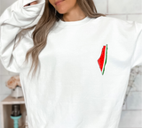 NEW - Watermelon Palestine Map (Long Sleeve, ALL Styles & Colors)