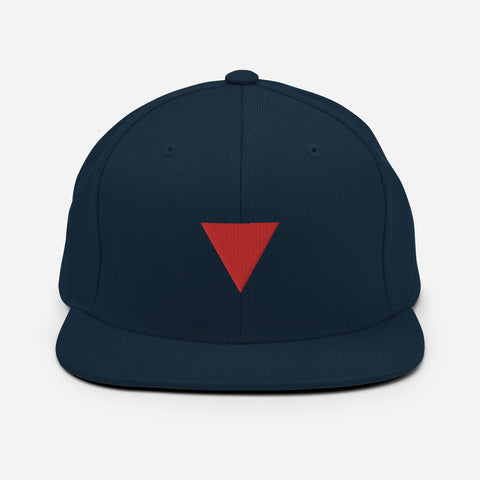 RESISTANCE SNAPBACK