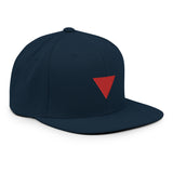 RESISTANCE SNAPBACK
