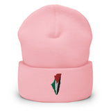 Palestine Embroidered Beanie