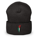Palestine Embroidered Beanie