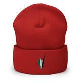 Palestine Embroidered Beanie