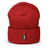 Palestine Embroidered Beanie