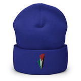 Palestine Embroidered Beanie