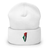 Palestine Embroidered Beanie