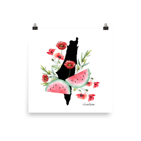 Watermlon Poppy